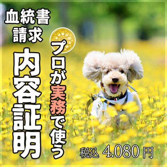 【相談OK!】専門行政書士が実務で使う血統書請求の内容証明郵便