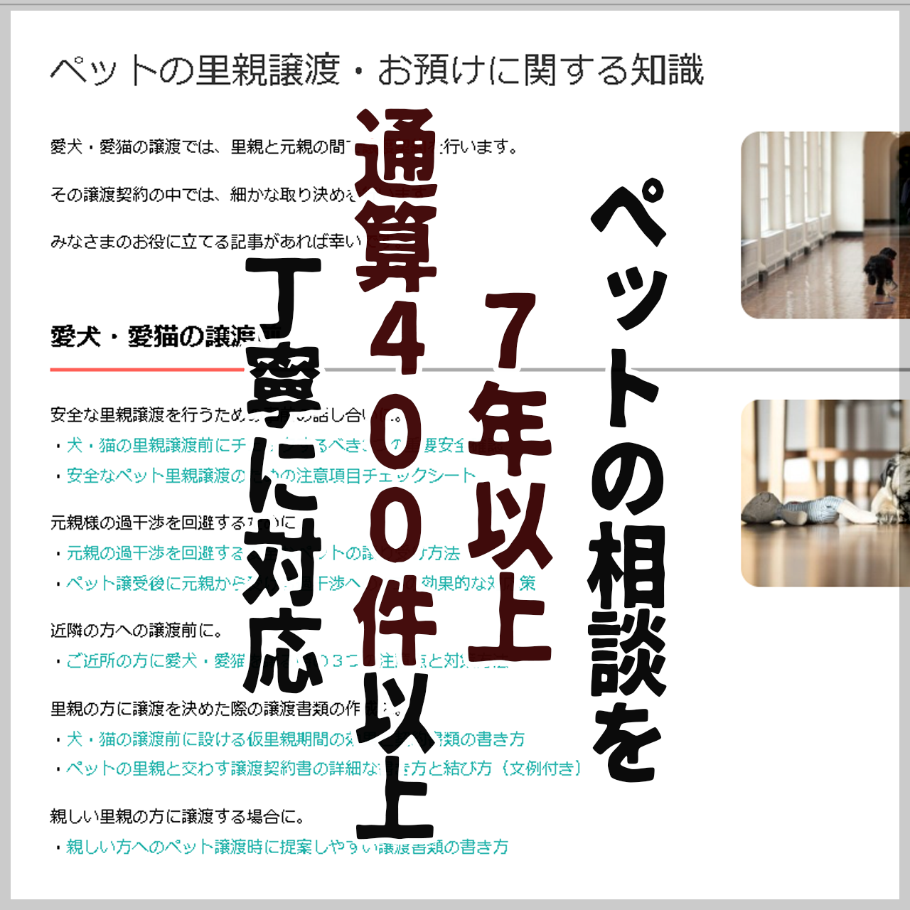 【相談OK!】専門行政書士が実務で使う血統書請求の内容証明郵便